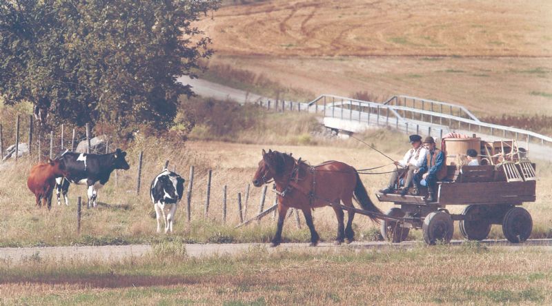 Hästskjutsen gick på samma vägar som 1903 och resan tog omkring fyra timmar. 2003 fanns inte Svannäs handel där man för hundra år sedna kunde köpa sockerbullar.